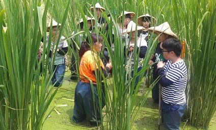 多元活動體驗圖